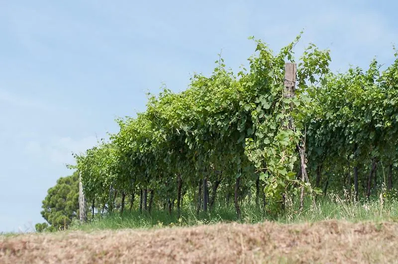 La Costa Fattoria Sociale Villa Sarcedo Italië